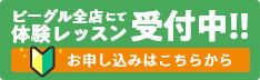 ビーグル全店にて体験レッスン受付中!!お申し込みはこちらから