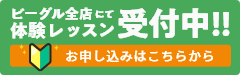 ビーグル全店にて体験レッスン受付中!!お申し込みはこちらから