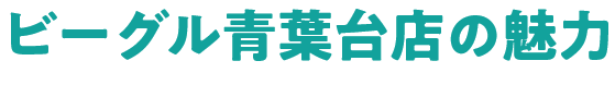 ビーグル青葉台店の魅力