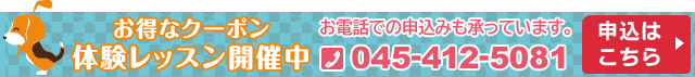 申込みはこちら