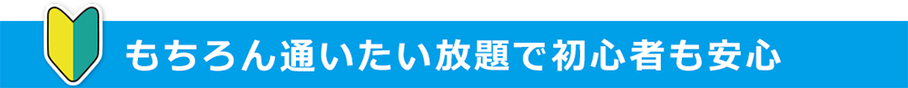 もちろん使いたい放題で初心者も安心