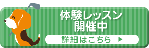 体験レッスン開催中!!