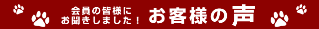 お客様の声