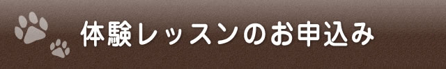 体験レッスンのお申し込み